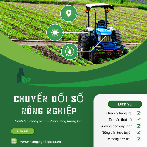 Quản Lý Nhà Nước Trong Nông Nghiệp Và Định Hướng Phát Triển Bền Vững